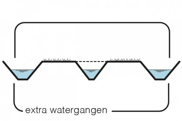 Maatregel 12 Extra watergangen